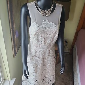 Elegant Lace Sleeveless Dress